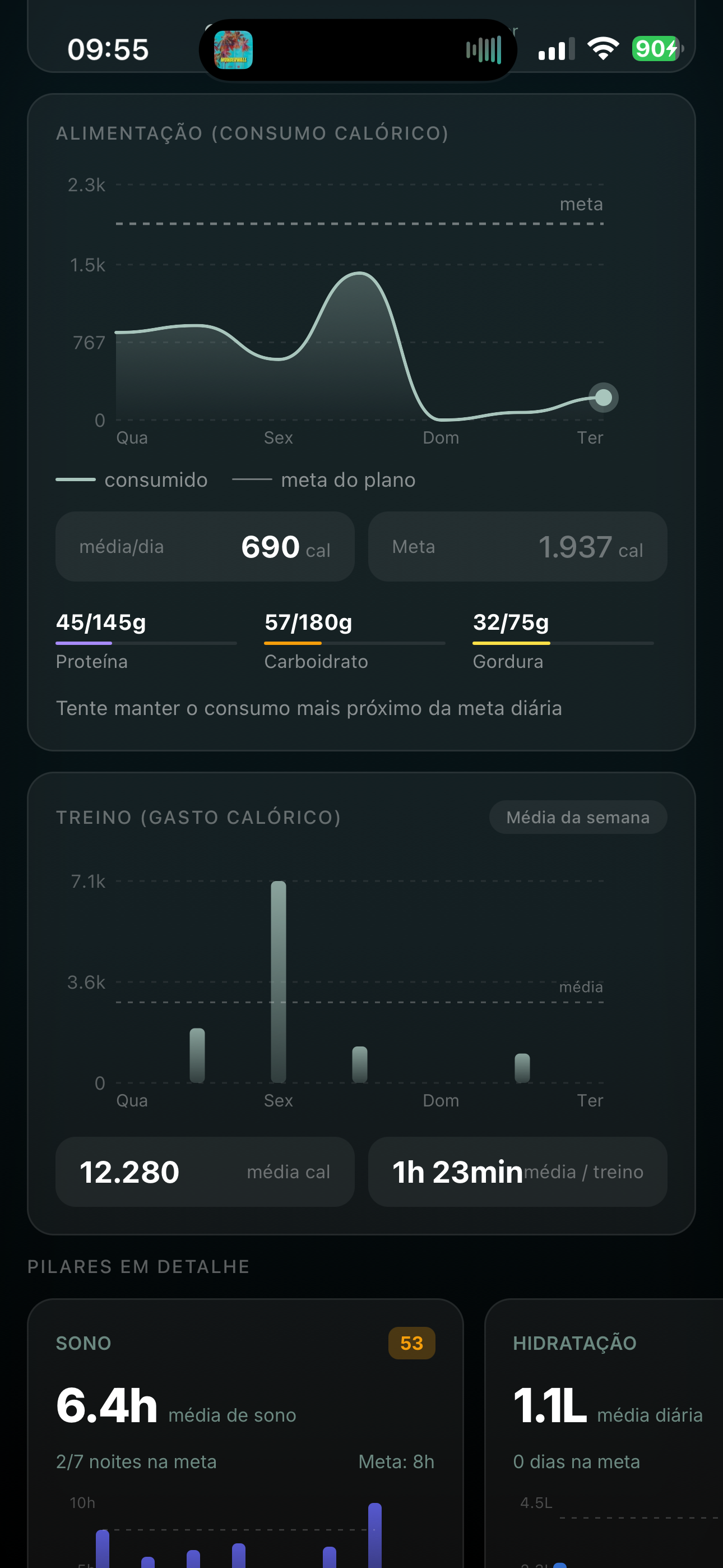 Tela de evolução — pilares