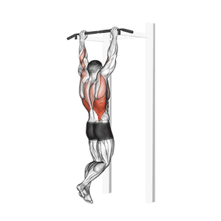 Exercício 7