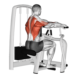 Exercício 1
